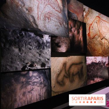 Espèces d'Ours, l'expo au Muséum National d'Histoire Naturelle