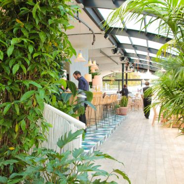 Polpo restautant, la Brasserie Seafood en bord de Seine