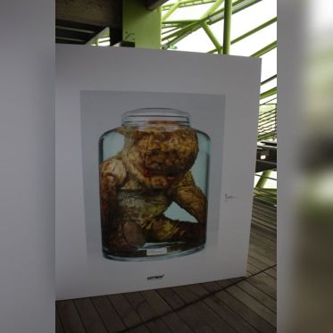 Biennale des Créateurs d'Images