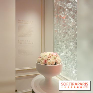 Le Grand Musée du Parfum