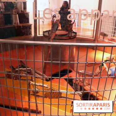 La Cité des Enfants se Renouvelle - Décembre 2016