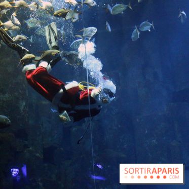 Aquarium de Paris Décembre 2016
