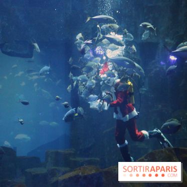 Aquarium de Paris Décembre 2016