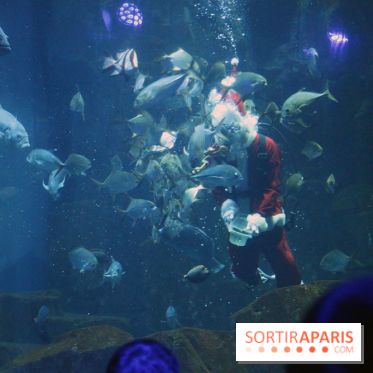 Aquarium de Paris Décembre 2016