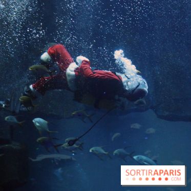 Aquarium de Paris Décembre 2016