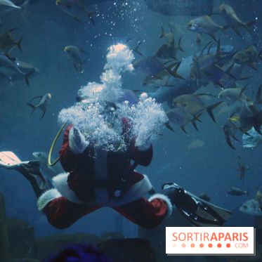 Aquarium de Paris Décembre 2016