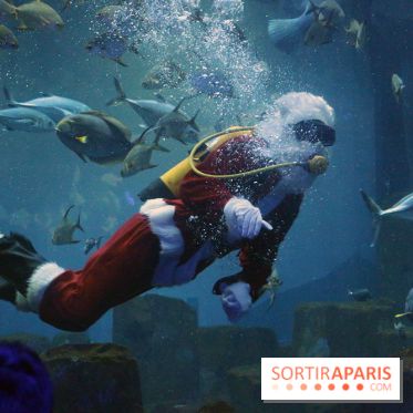 Aquarium de Paris Décembre 2016