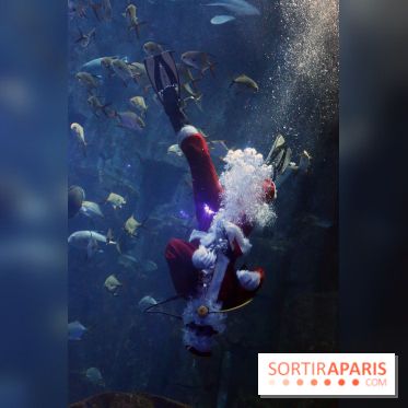 Aquarium de Paris Décembre 2016