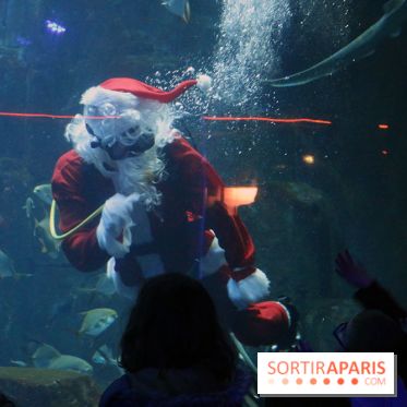 Aquarium de Paris Décembre 2016