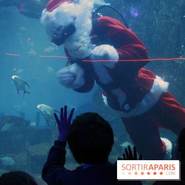 Aquarium de Paris Décembre 2016