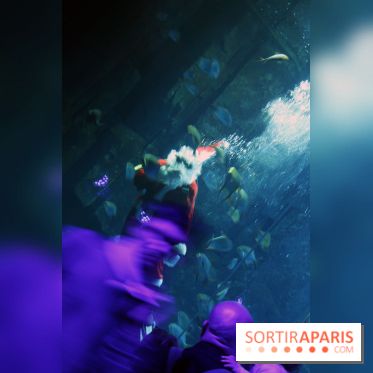 Aquarium de Paris Décembre 2016