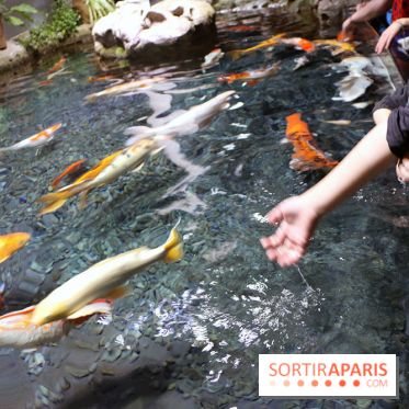 Aquarium de Paris Décembre 2016