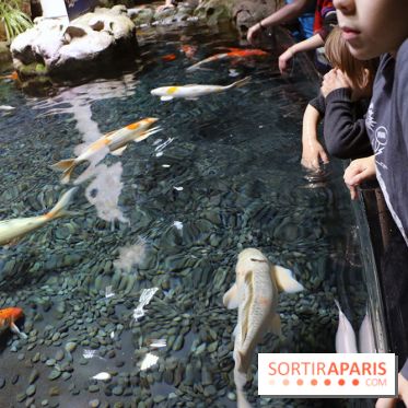 Aquarium de Paris Décembre 2016