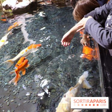 Aquarium de Paris Décembre 2016