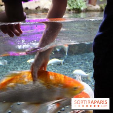 Aquarium de Paris Décembre 2016