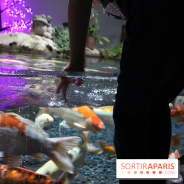 Aquarium de Paris Décembre 2016