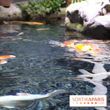 Aquarium de Paris Décembre 2016