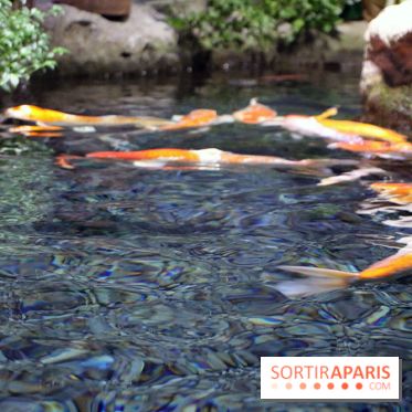 Aquarium de Paris Décembre 2016