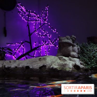 Aquarium de Paris Décembre 2016