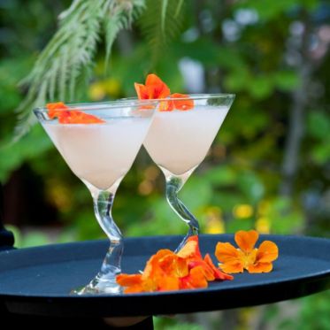 Le Parc Plage de l'Hôtel Renaissance Paris Le Parc Trocadéro, cocktail