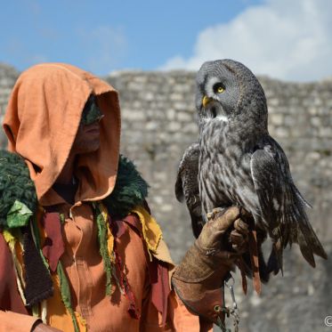 Les Aigles des Remparts de Provins 2017