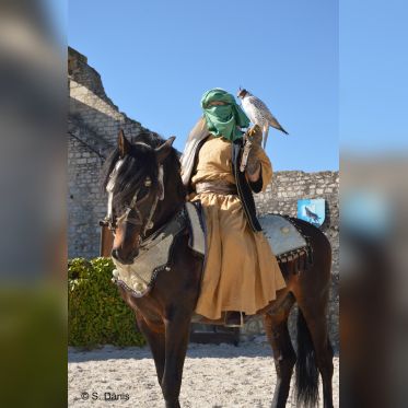 Les Aigles des Remparts de Provins 2017