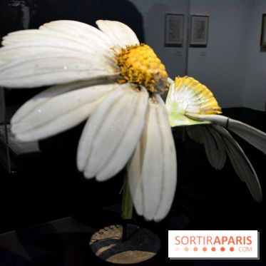 Exposition Jardins au Grand Palais