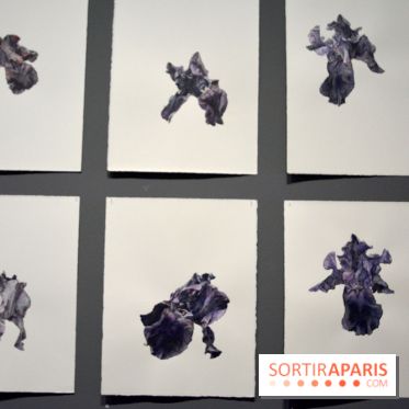 Exposition Jardins au Grand Palais