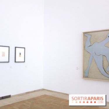 Olga Picasso au Musée Picasso