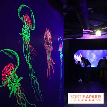 Les récifs Coralliens s'exposent à l'Aquarium de Paris