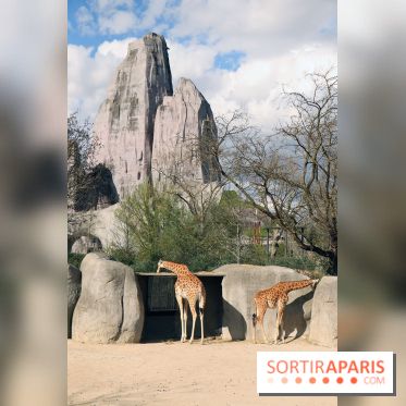 Zoo de Vincennes, Parc Zoologique de Paris 2017