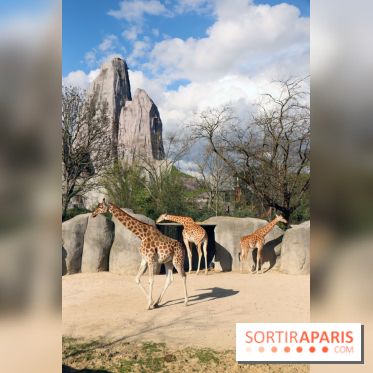 Zoo de Vincennes, Parc Zoologique de Paris 2017