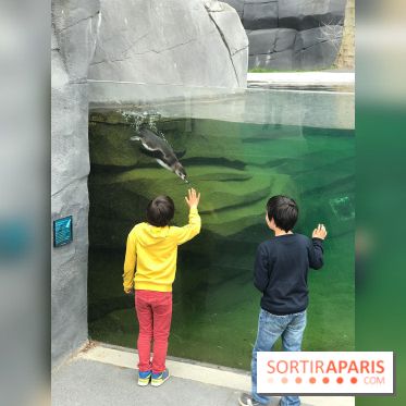 Zoo de Vincennes, Parc Zoologique de Paris 2017