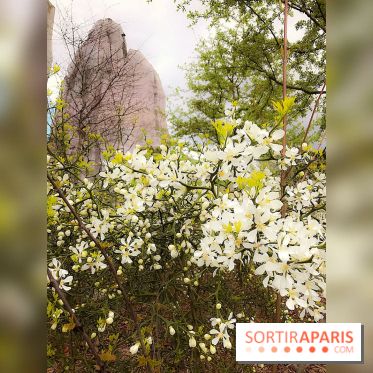 Zoo de Vincennes, Parc Zoologique de Paris 2017
