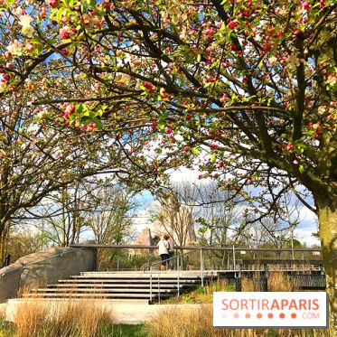 Zoo de Vincennes, Parc Zoologique de Paris 2017