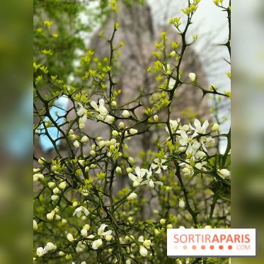 Zoo de Vincennes, Parc Zoologique de Paris 2017