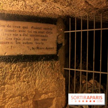 Les Catacombes de Paris