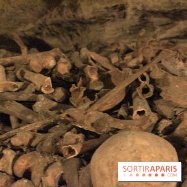 Les Catacombes de Paris