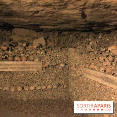 Les Catacombes de Paris