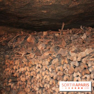 Les Catacombes de Paris