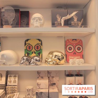 Les Catacombes de Paris