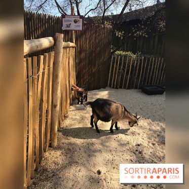 Parc Astérix 2017, ferme des animaux au village Gaulois