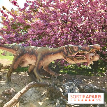 DinoZOOre II au Zoo de Thoiry, album 2