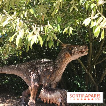 DinoZOOre II au Zoo de Thoiry, album 2