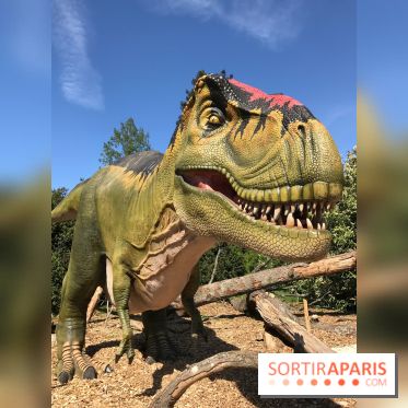 DinoZOOre II au Zoo de Thoiry, album 2