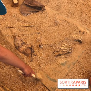 DinoZOOre II au Zoo de Thoiry, album 2