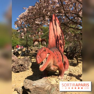 DinoZOOre II au Zoo de Thoiry, album 2