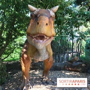 DinoZOOre II au Zoo de Thoiry, album 2