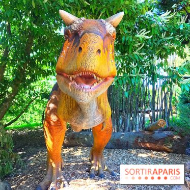 DinoZOOre II au Zoo de Thoiry, album 2