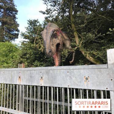 DinoZOOre II au Zoo de Thoiry, album 2